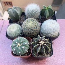 ����������ϼ��Ƕ��M���ײ��[�P�����ֲ�����������Է�ݗ���_��