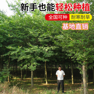 �t�Θ���Ѫ�eС��e��ͥԺ�е������ͺ����~�G���L����С�~�Θ���