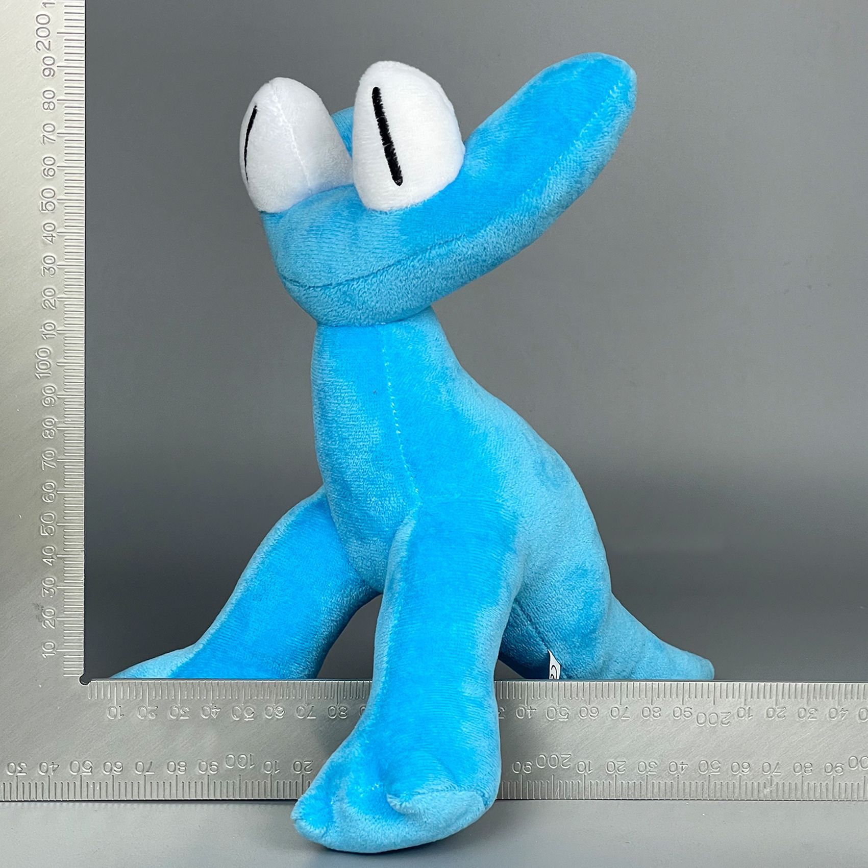 实拍 蓝龙 (2).jpg