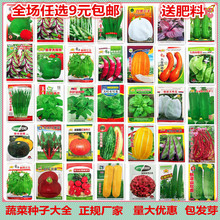 蔬菜種子大全四季播種農家庭院陽台盆栽草莓薄荷生菜香菜黃瓜種籽