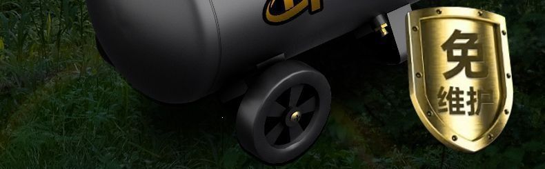 Oil-free silent air compressor, small household 220v air compressor, air pump for woodworking, painting, nailing, and inflating