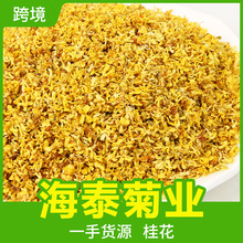 散装广西食用桂花茶批发干桂花各种规格金桂花干花花草茶源头工厂