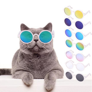 Manufacturer in stock pet glasses dog Teddy personality funny Halloween accessories plastic transparent cat glasses