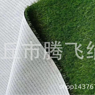 tpr白底不掉渣塑料新款室内专用草坪 果岭草 休闲草 悠悠草定制