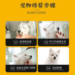 寵物剪刀工具狗狗剪毛套裝專業修毛剪狗毛彎剪子泰迪理髮