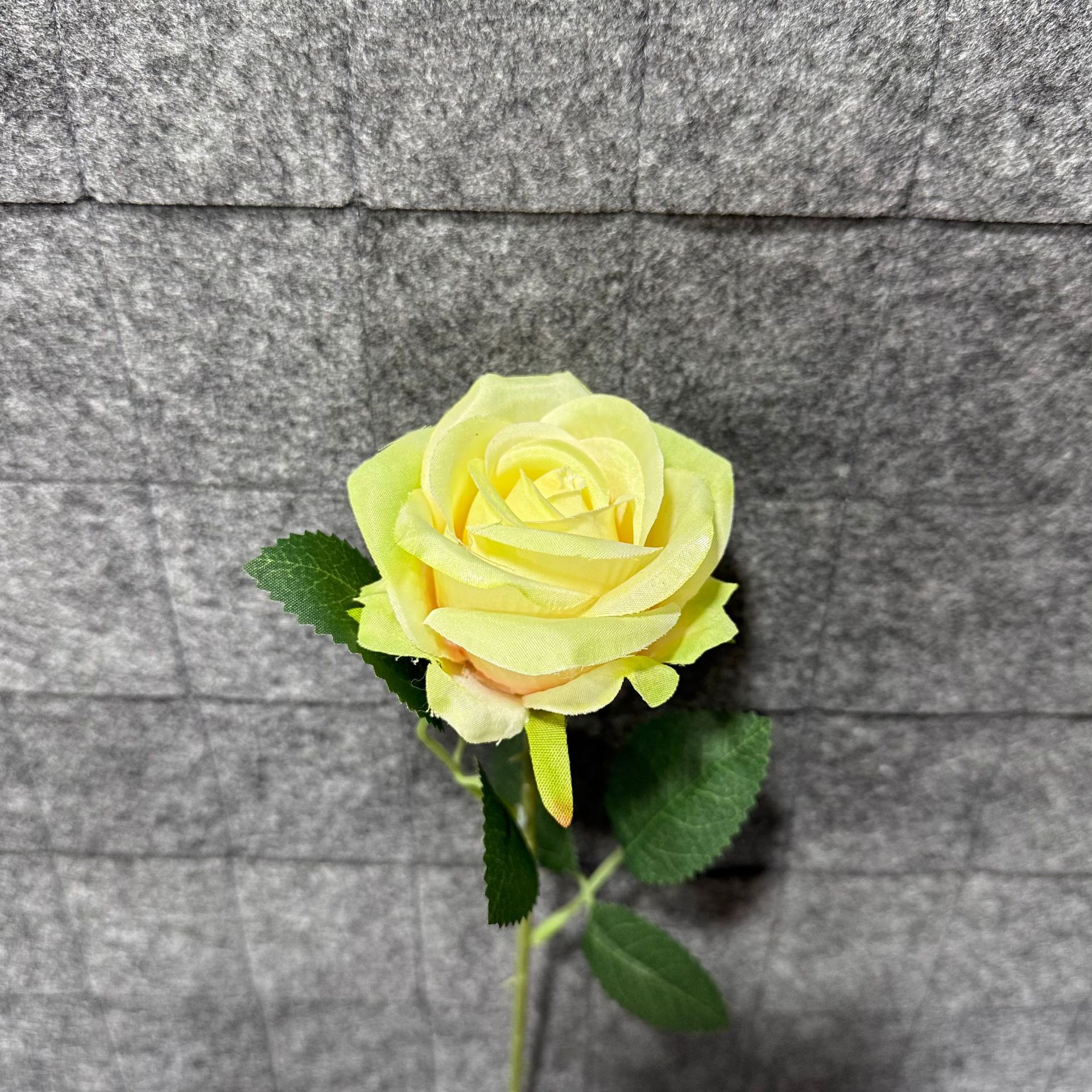 애플 그린