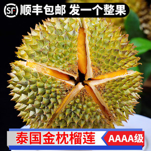 ̩��������ɏ���r���������M��ˮ������������������������S�F؛