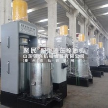 菜籽花生立式榨油机 商用大型铁核桃压油机 全自动大豆油坊压榨机