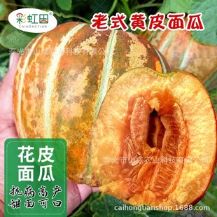 ��Ƥ��ϷN����Ʒ�N�SƤ��ϷN�Ӵ������ļ��r��������ϷN�ݴ�ȫ