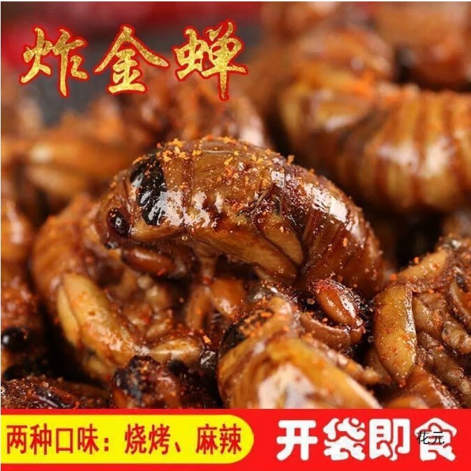 Shandong Specialty: Spicy Fried Cicada Nymphs, Ready-To-Eat Fresh Fried Cicada Larvae, Perfect as a Snack with Alcohol Shandong Specialty: Spicy Fried Cicada Nymphs, Ready-To-Eat Fresh Fried Cicada Larvae, Perfect as a Snack with Alcohol