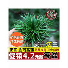 �����֮�ҡ�΢���辰���X���ѻ��ˮ���S��ꑸ����ԾGֲ�m���҃�