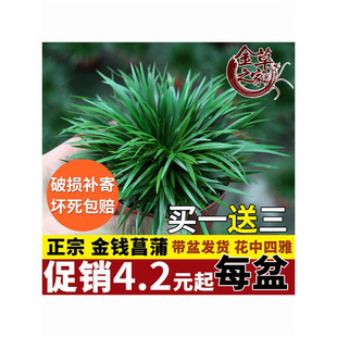 �����֮�ҡ�΢���辰���X���ѻ��ˮ���S��ꑸ����ԾGֲ�m���҃�