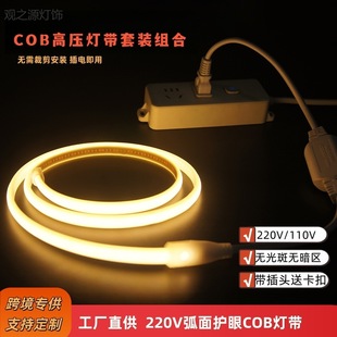 �羳���l 220v�߉�COB�􎧵�픷Շ��� 110V�����ˮled��������ճ