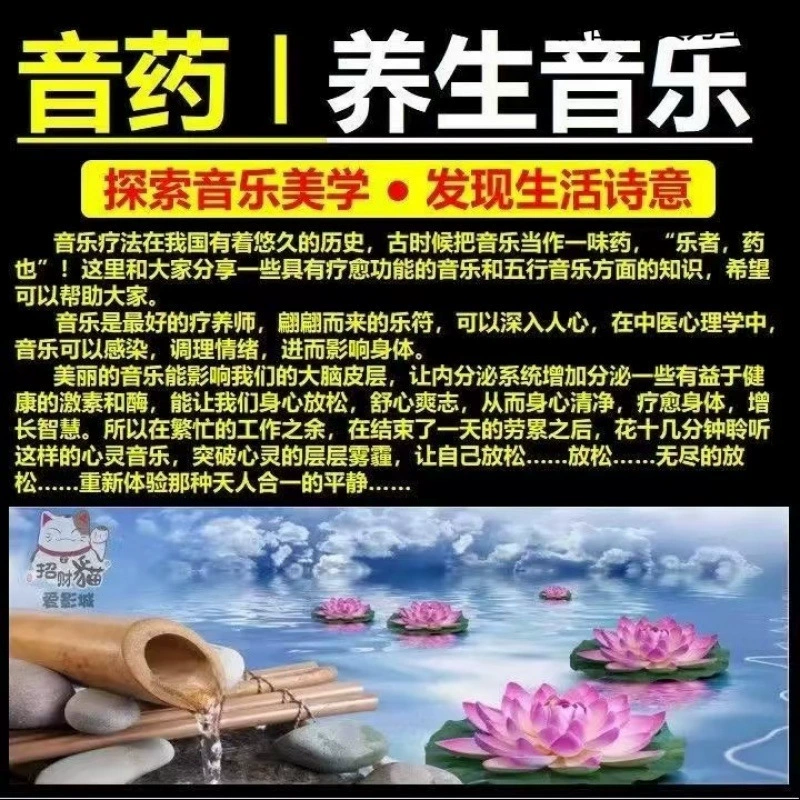 USB-накопитель для медитации и wellness, безlossный высокий звуковой качества Guoyue Wuyin Master Beauty Salon Tea Room Успокаивающий и расслабляющий USB