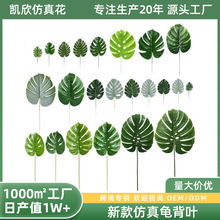 �¿���������~���R�d�羳�����Ĳ���ֲ��廨���������Gֲ