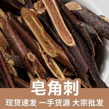皂角刺 新货批发皂刺 皂荚刺 皂角针农家产地新鲜货源 量大价优