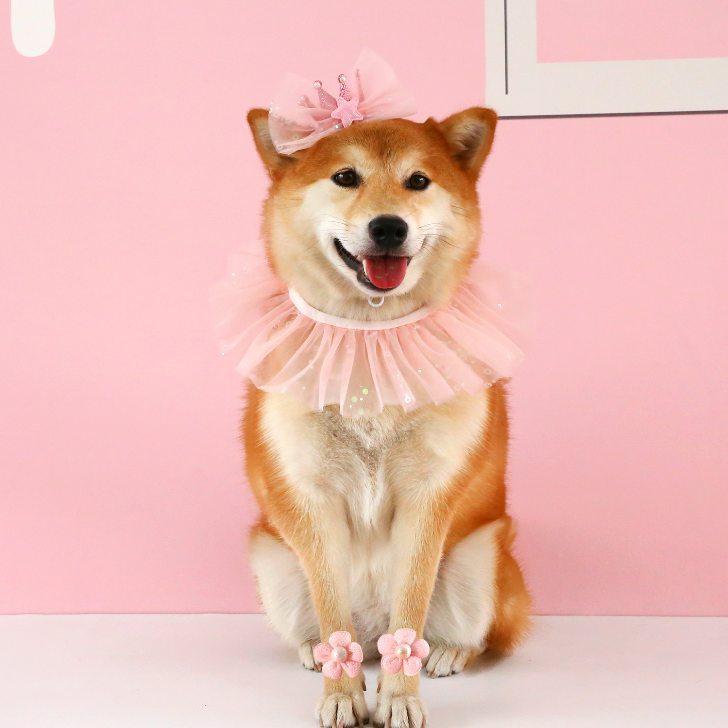 Mascotas esquinillas bacon corona set gatos perros fiesta de cumpleaños princesa arco tocadillo buzzard pies flores