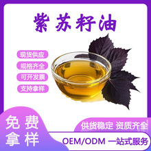 ����������եֲ������� Perilla Seed�������������� �������ֻ�