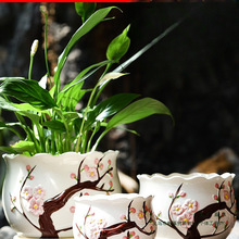 մɴ̖бPÄ₀ԼþG}m⻨þӼ