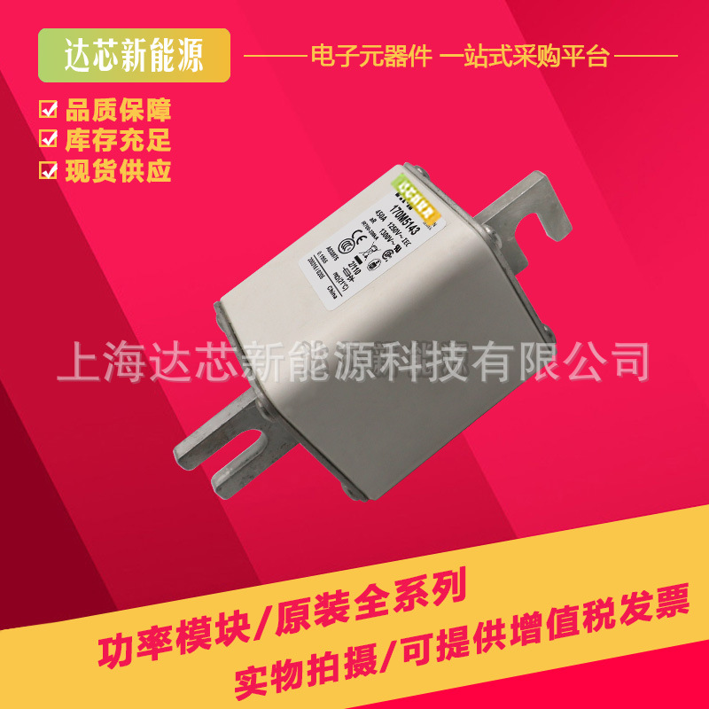 170M5258 170M5259 170M5260 170M5261 170M5262 170M5263熔断器