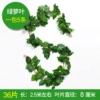 Caiyin 36 Leaf Establishing Green Loofa (5 Packs)