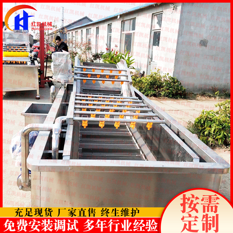 供应不锈钢红枣清洗机 全自动果蔬清洗机 厂家供应 菠菜清洗机