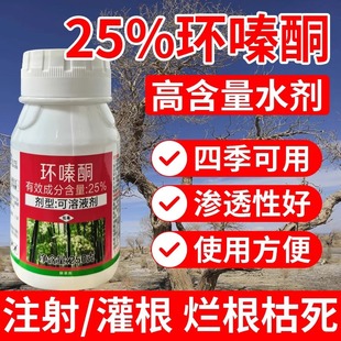 25%�h�ͪ�Lˮ�����݄���Ʒ���l