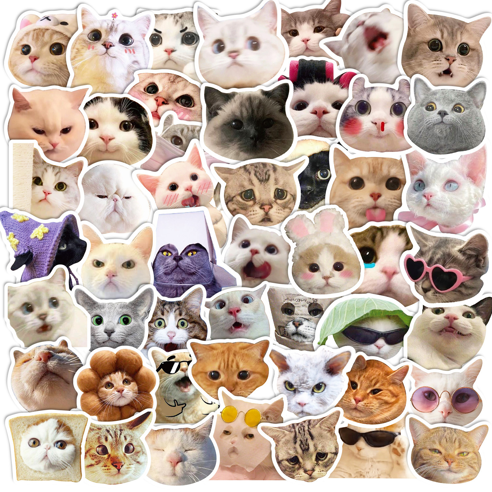 50张猫猫贴纸网红猫咪表情包涂鸦贴纸跨境可爱搞怪搞笑猫咪头贴纸