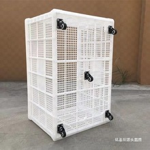 Ӻش󎧻݆SϿƄӎ݆Dͷeľռ{