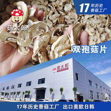 双孢菇干货白蘑菇口蘑菇脱水蘑菇片提取干切片可出口基地备案