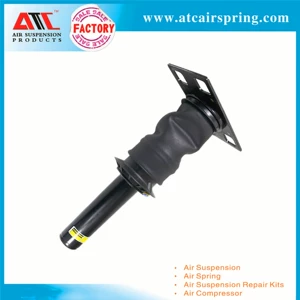 Applicable to International Prostar shock absorber assembly 3595977C95 3595977C96