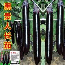 ����ī�����r�N�Ӻ��F���L�������r�N���̨�����ļ��߲˷N�Ѵ���