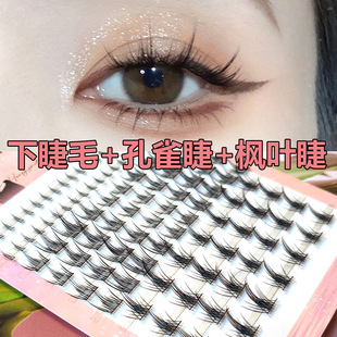 10�ſ�ȸ�ޗ��~���½�ë3���ë����b�ճ��ֶ�ʽ�δؼ��ڹ���ë