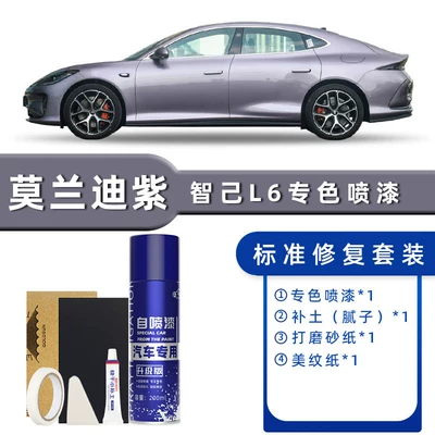 Rembrandt Gray, Raphael Tea, Ferdinand — Avtomobil boya qələmləri - product-specification-grids-morandi-purple-standard-repair-send-soil-replenishment-simple-tools