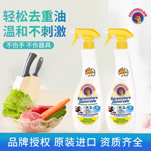 Imported kitchen oil stain remover large cock oil stain remover range hood 600ml cleaner wholesale