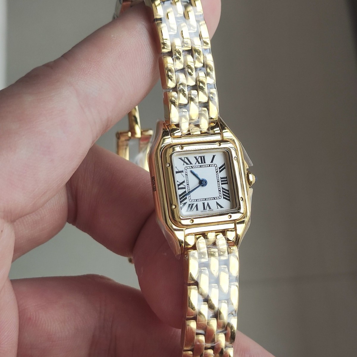 Cross-Border Cheetah Classic Series Stainless Steel Small Square Watch Fashionable and Simple Roman Face Quartz Women's Watch Factory Wholesale Foreign Trade