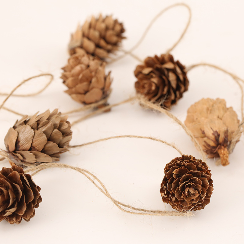 Christmas Pinecones DIY Dry Flower Craft Decor Fish Scale Pinecone Photography Prop Hanging Line
