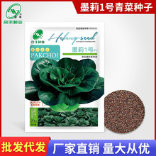 Ʒī1̖˷N20g s~KNСײ˷Nl