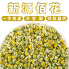 Chamomile with chrysanthemum flowers, herbal tea, wholesale, Germany, 500g