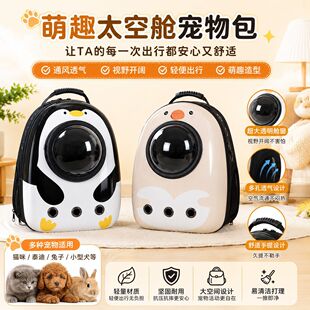 �羳��������͸���y�p��؈�乷���������������p��̫��œ؈��