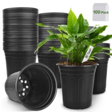 G 31701 Dual Color Succulent Planter ���⻨�� ŷ���羳
