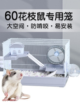 ��֦��\�ӌ����ش�̖��B���z�܂}��60cm���A�\����ҧ�Ɍӳ���