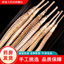 �»��������С������ը��������500g��Ȼɹ�ƺ����ɻ����캣��