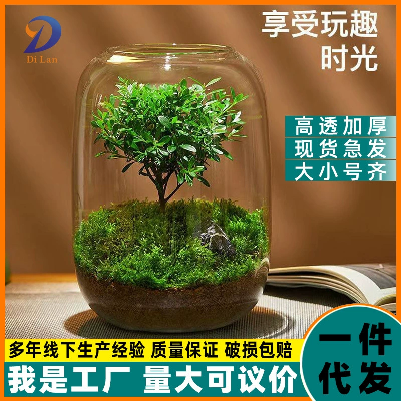 Микро пейзаж DIY стеклянная ваза гидропонное растение украшение для гостиной стола высококачественное украшение в стиле ins высокий вид