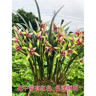 �F�����������m���罨�m�ļ��m С���� ���������҃Ȼ������Ժ��B
