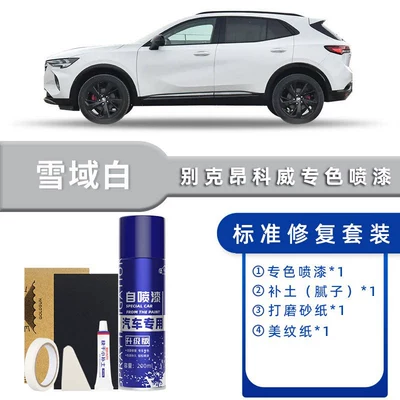 Buick Envision Self-Painting Topaz Brown, Jet Black, Starry Sky Purple Car Paint Scratch Repair Touch-Up Pen (Avtomobil boya qələmləri) - color-classification-snowy-white-standard-repair-send-soil-simple-tools