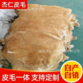 鞋垫/增高垫;羊皮革;运动护膝