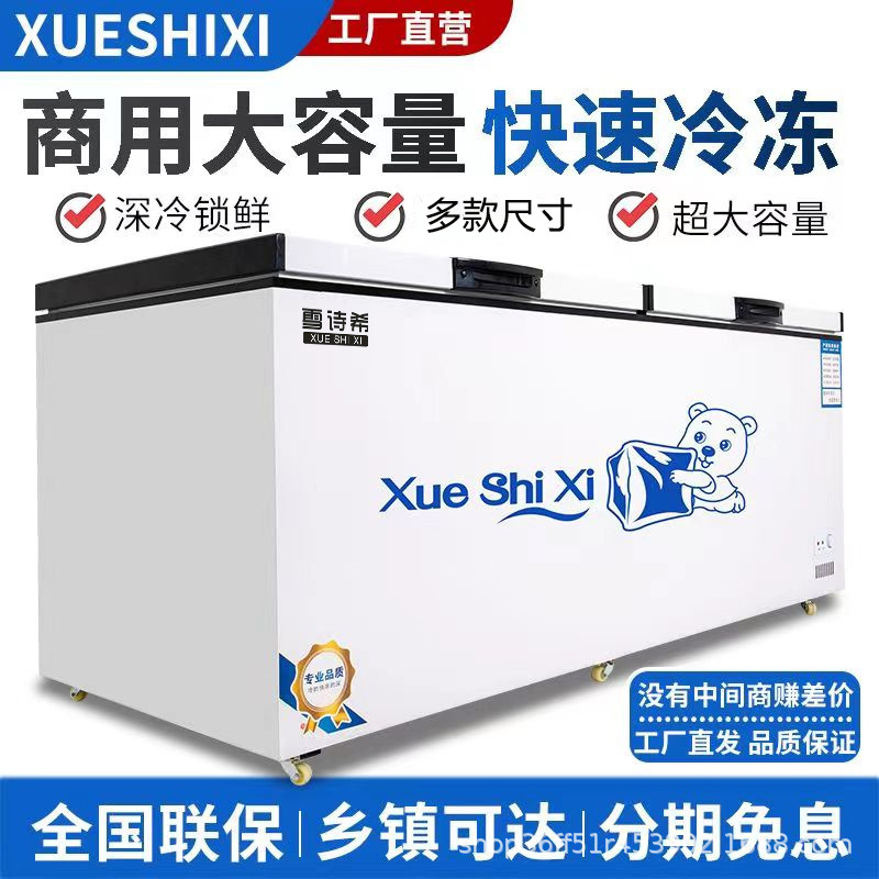 Congelador Xueshixi Congelador comercial horizontal de gran capacidad refrigerado Congelador grande de doble uso Refrigerador de temperatura simple y doble
