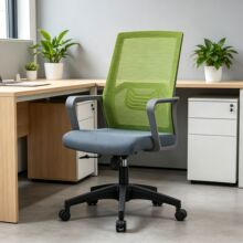 "DTTS-2911B �ڿ�"���¾G���W���k���Σ�͸�⿿�������ɫ���֣�