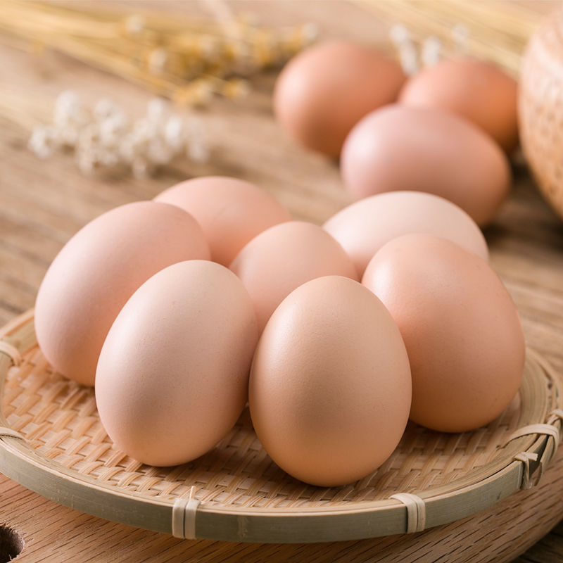 鸡蛋40枚农家土鸡蛋散养农村笨新鲜营养10枚柴鸡蛋整箱批发独立站